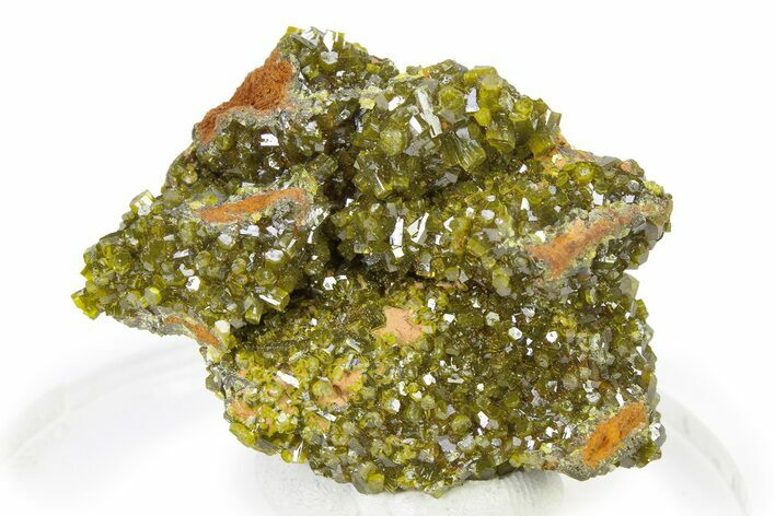Brassy-Green Pyromorphite Crystal Cluster - DR Congo #322602